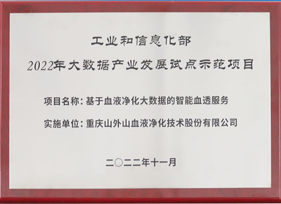 行業(yè)唯一！山外山公司入選“2022年大數(shù)據(jù)產(chǎn)業(yè)發(fā)展試點示范項目”